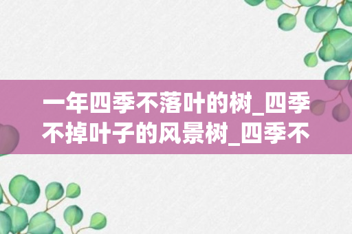 一年四季不落叶的树_四季不掉叶子的风景树_四季不掉叶子的风景树是什么树