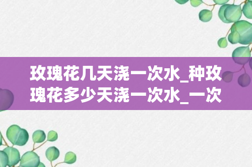 玫瑰花几天浇一次水_种玫瑰花多少天浇一次水_一次浇多少呢