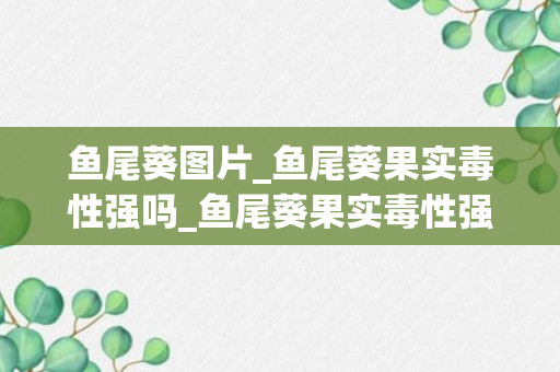 鱼尾葵图片_鱼尾葵果实毒性强吗_鱼尾葵果实毒性强吗图片