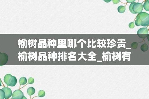 榆树品种里哪个比较珍贵_榆树品种排名大全_榆树有多少品种