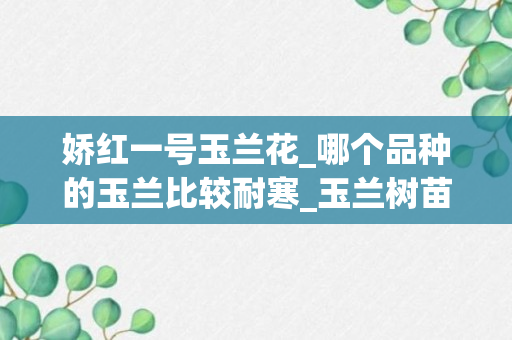 娇红一号玉兰花_哪个品种的玉兰比较耐寒_玉兰树苗耐寒吗