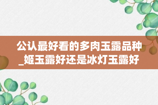 公认最好看的多肉玉露品种_姬玉露好还是冰灯玉露好_玉露和冰灯