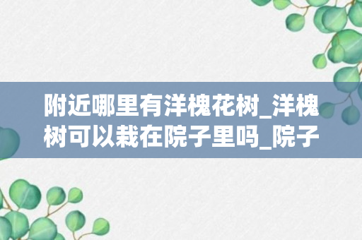 附近哪里有洋槐花树_洋槐树可以栽在院子里吗_院子里有洋槐花树好不好