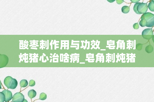 酸枣刺作用与功效_皂角刺炖猪心治啥病_皂角刺炖猪心的功效与作用主要治什么病