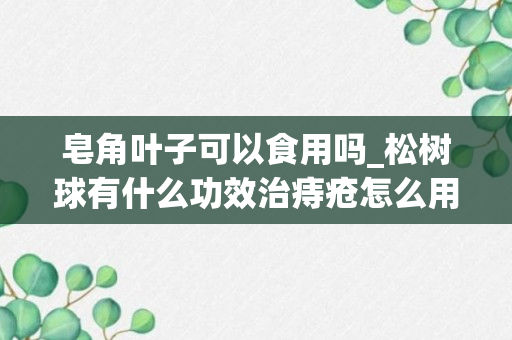 皂角叶子可以食用吗_松树球有什么功效治痔疮怎么用_皂角树可以治痔疮吗