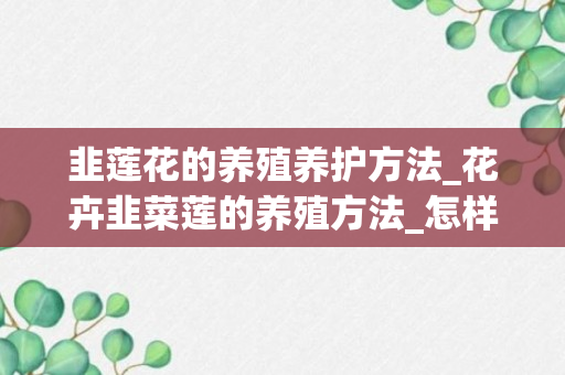 韭莲花的养殖养护方法_花卉韭菜莲的养殖方法_怎样养韭菜莲