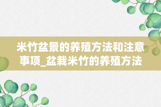 米竹盆景的养殖方法和注意事项_盆栽米竹的养殖方法和注意事项_怎样栽培米竹