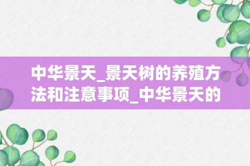 中华景天_景天树的养殖方法和注意事项_中华景天的养殖方法和注意事项