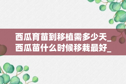 西瓜育苗到移植需多少天_西瓜苗什么时候移栽最好_西瓜苗什么时候移栽最好活