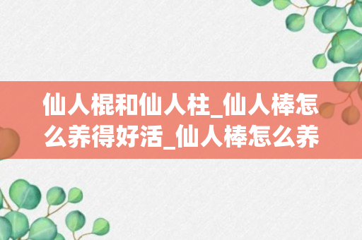 仙人棍和仙人柱_仙人棒怎么养得好活_仙人棒怎么养才开花