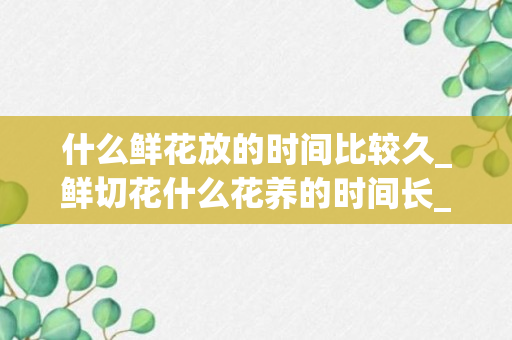 什么鲜花放的时间比较久_鲜切花什么花养的时间长_鲜切花怎么养时间比较久