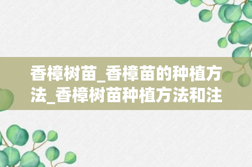 香樟树苗_香樟苗的种植方法_香樟树苗种植方法和注意事项