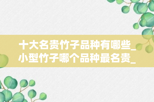 十大名贵竹子品种有哪些_小型竹子哪个品种最名贵_小型竹子哪个品种最名贵又好养