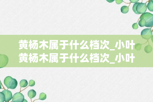 黄杨木属于什么档次_小叶黄杨木属于什么档次_小叶黄杨木和黄杨木的区别