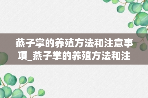 燕子掌的养殖方法和注意事项_燕子掌的养殖方法和注意事项怎么浇水_燕子掌怎样施肥