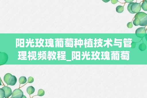 阳光玫瑰葡萄种植技术与管理视频教程_阳光玫瑰葡萄栽培技术_阳光玫瑰葡萄栽培技术191视频