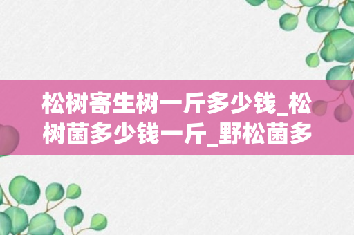 松树寄生树一斤多少钱_松树菌多少钱一斤_野松菌多少钱一斤