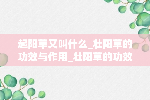 起阳草又叫什么_壮阳草的功效与作用_壮阳草的功效与作用及禁忌