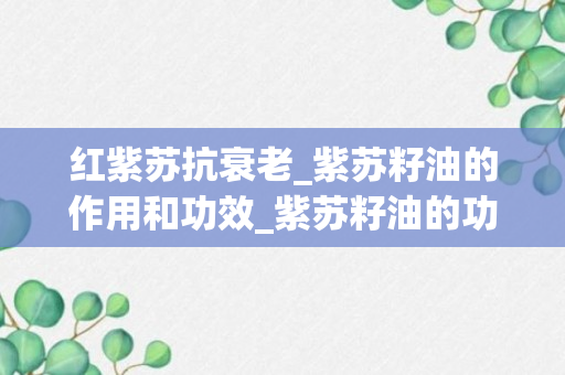 红紫苏抗衰老_紫苏籽油的作用和功效_紫苏籽油的功效是什么