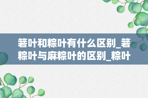 箬叶和粽叶有什么区别_箬粽叶与麻粽叶的区别_粽叶和箬叶的区别