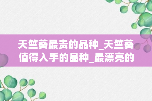 天竺葵最贵的品种_天竺葵值得入手的品种_最漂亮的天竺葵品种最贵的品种