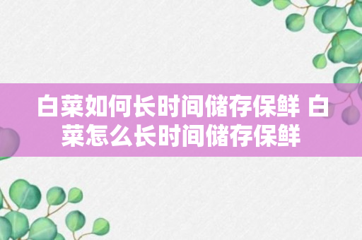 白菜如何长时间储存保鲜 白菜怎么长时间储存保鲜