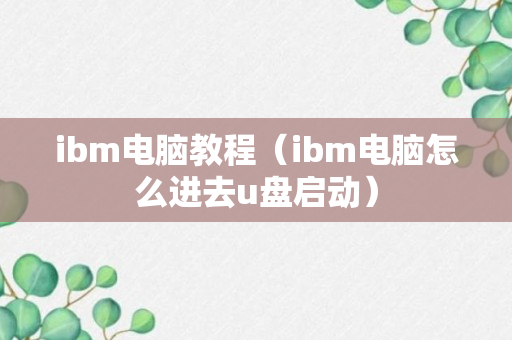 ibm电脑教程（ibm电脑怎么进去u盘启动）