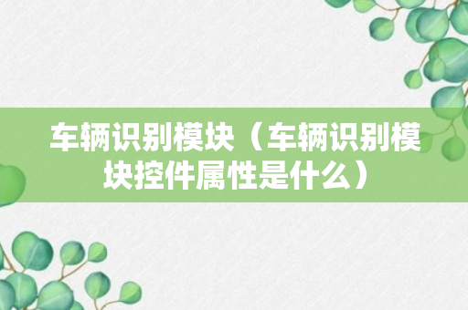 车辆识别模块（车辆识别模块控件属性是什么）