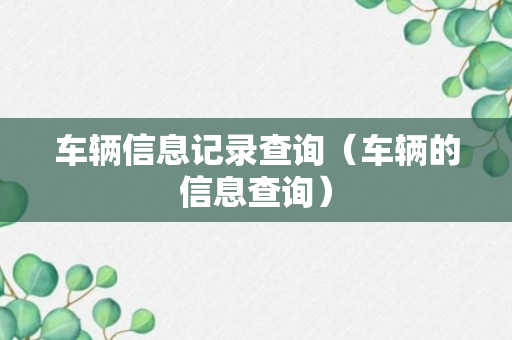 车辆信息记录查询（车辆的信息查询）