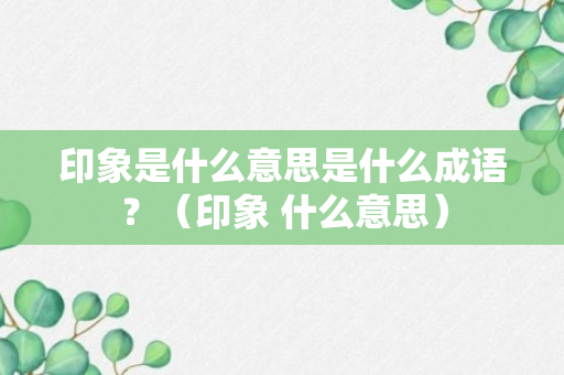 印象是什么意思是什么成语？（印象 什么意思）