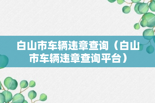 白山市车辆违章查询（白山市车辆违章查询平台）