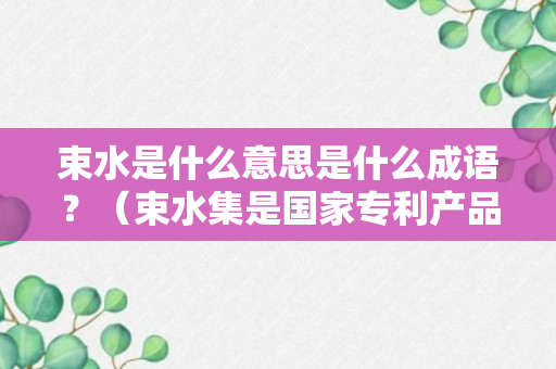 束水是什么意思是什么成语？（束水集是国家专利产品吗）