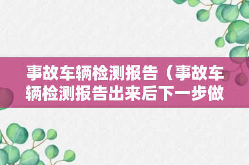 事故车辆检测报告（事故车辆检测报告出来后下一步做什么）