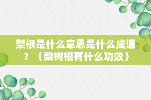 梨根是什么意思是什么成语？（梨树根有什么功效）