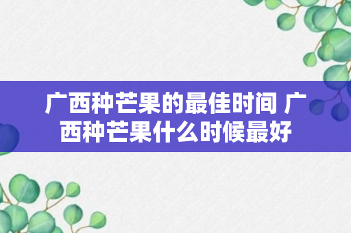 广西种芒果的最佳时间 广西种芒果什么时候最好