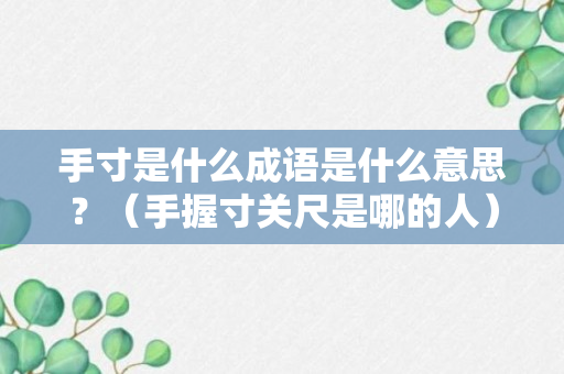 手寸是什么成语是什么意思？（手握寸关尺是哪的人）