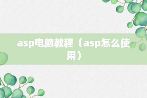 asp电脑教程（asp怎么使用）