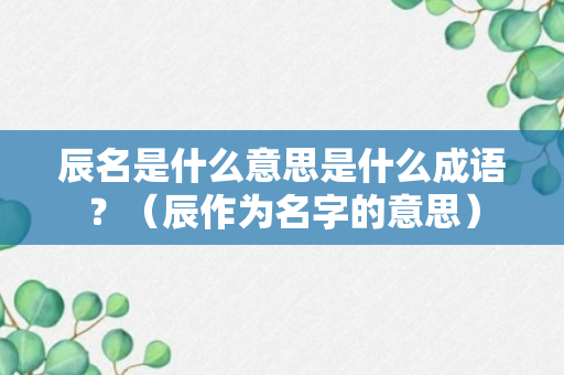 辰名是什么意思是什么成语？（辰作为名字的意思）