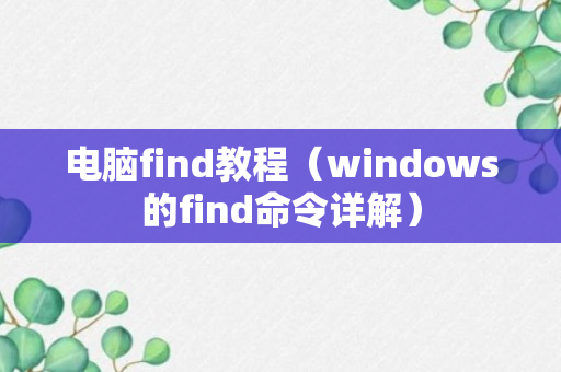 电脑find教程（windows的find命令详解）