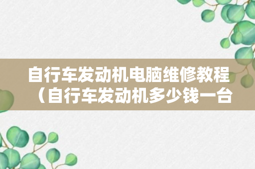 自行车发动机电脑维修教程（自行车发动机多少钱一台）