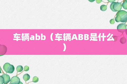 车辆abb（车辆ABB是什么）