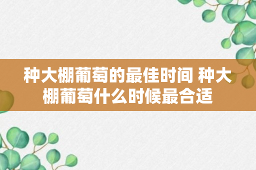 种大棚葡萄的最佳时间 种大棚葡萄什么时候最合适