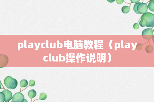 playclub电脑教程（playclub操作说明）