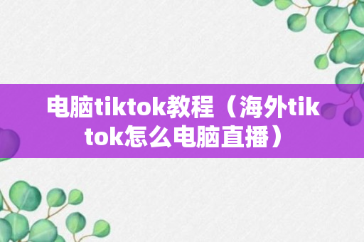 电脑tiktok教程（海外tiktok怎么电脑直播）