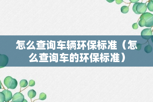 怎么查询车辆环保标准（怎么查询车的环保标准）