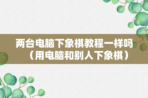 两台电脑下象棋教程一样吗（用电脑和别人下象棋）