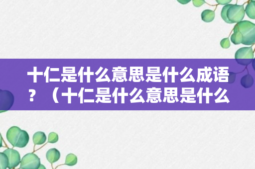 十仁是什么意思是什么成语？（十仁是什么意思是什么成语啊）