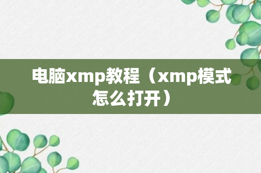 电脑xmp教程（xmp模式怎么打开）