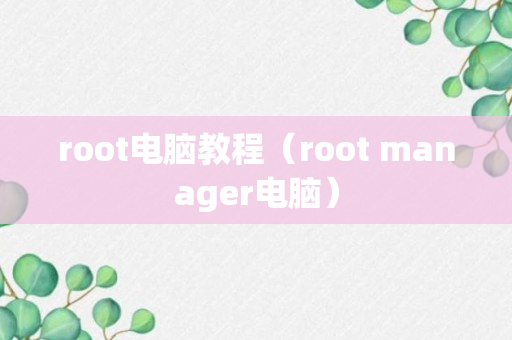 root电脑教程（root manager电脑）