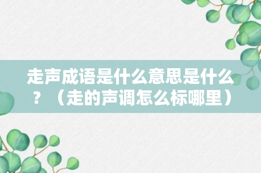 走声成语是什么意思是什么？（走的声调怎么标哪里）